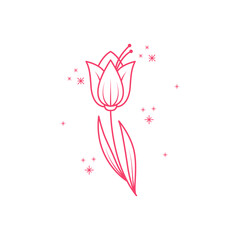 shine flower logo design vector image