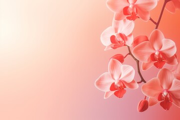 Orchid red salmon pastel gradient background