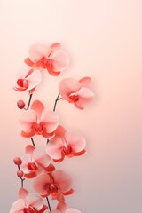 Fototapeta na wymiar Orchid red salmon pastel gradient background