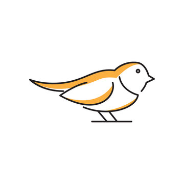 canary bird logo design vector image