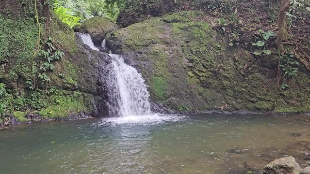 Chorro la vaca Turega 