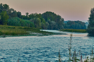 natural reserve with river and green forestItaly in Italy