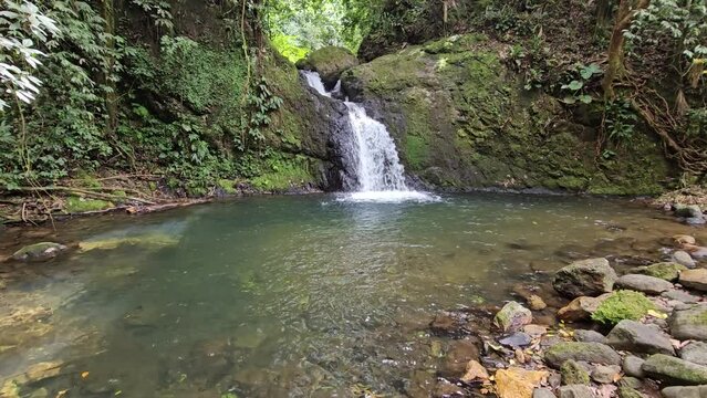 Chorro la vaca Turega 