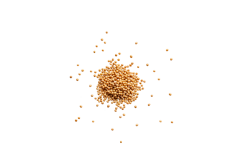 Heap of organic dry yellow mustard seeds isolated on a transparent background without shadows from above, top view, png