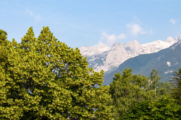 Panoramic view of mountain peaks of Julian Alps, border Italy Slovenia, Europe. Jagged contours of majestic mountains seen from Predil Pass. Wanderlust in wild European Alps. Remote mountain village - obrazy, fototapety, plakaty