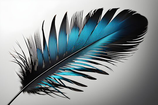 bird feather captivating isolated against monochrome backdrop