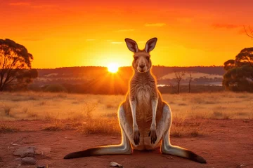  Kangaroo at sunset in kangaroo park, western australia, kangaroo sunset australia, AI Generated © Ifti Digital