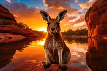 Selbstklebende Fototapeten Kangaroo sitting on a rock in the river at sunset, kangaroo sunset australia, AI Generated © Ifti Digital