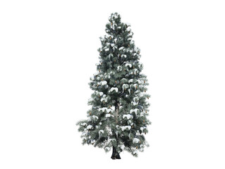 Tree transparent image 3d rendering