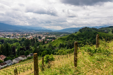 Fototapeta na wymiar Majestic aerial view from Piramida (Pyramid Hill) offers breathtaking panorama of charming old town of Maribor, Slovenia, Europe. Stunning vantage point is gracefully enveloped by verdant vineyards