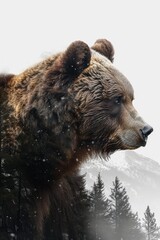 Graphic collage of bear head and forest landscape
