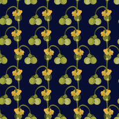 Spurge green fruits seamless pattern on black background  stock vector illustration for web, for print, for fabric print, for walpaper