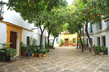 Obraz premium sevilla patio andaluz de casas de barrio 4M0A5575-as24