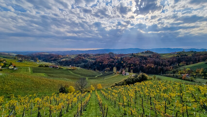 On the picturesque Austria Slovenia border lies a mesmerizing wine yard in South Styria, boasting...