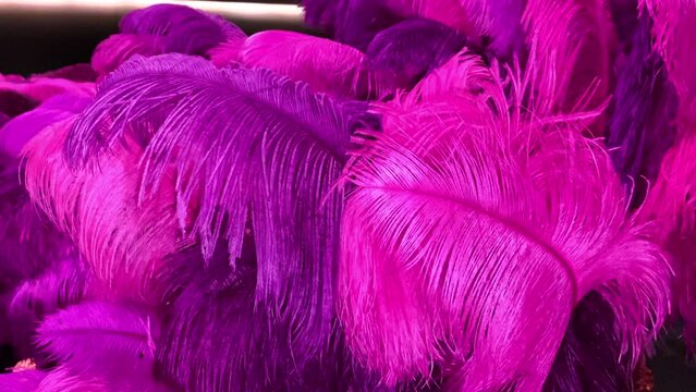 Closeup of pink feathers for sale at a flea market 