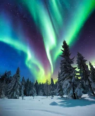 Foto op Aluminium Noorderlicht Colorful northern lights in the forest. Aurora Borealis. Beautiful winter night landscape.