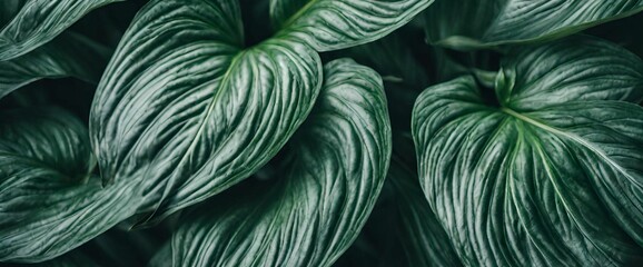 abstract background with leaves
