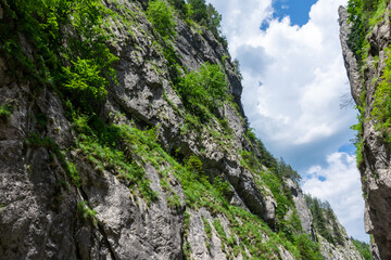 View of the beautiful sky from the gorge of the squat cliffs