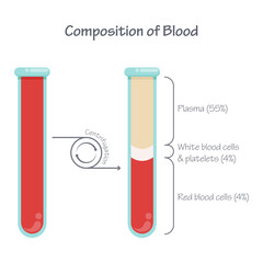 Composition of blood after centrifugation scientific vector illustration graphic  - obrazy, fototapety, plakaty
