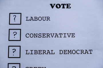 voting ballot paper with choices 