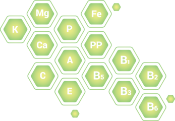 Pictograms of vitamins and elements in honeycomb-shaped set on transparent background for design on the theme of plant growing, ecology