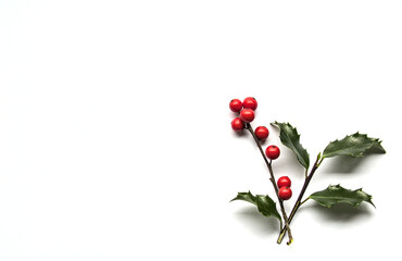 holly leaves and red berries (winterberries) isolated on white background (cut out holiday...