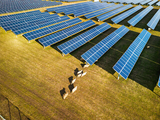 Solar panel produces green, environmentaly friendly energy from the setting sun. Aerial view from...