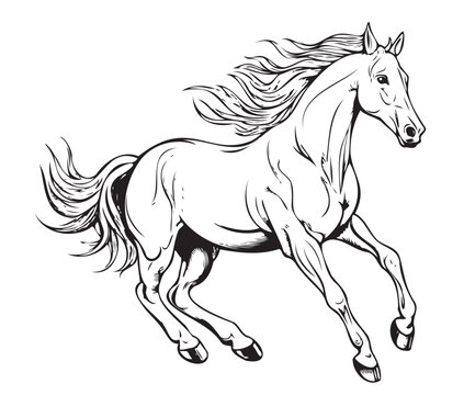 Horse running hand drawn sketch Vector illustration Farm animals