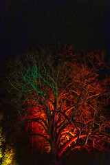 Christmas Garden Mainau - Baum Illumination