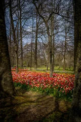 Foto auf Alu-Dibond The Floralies of Groot Bijgarden © Fabrice