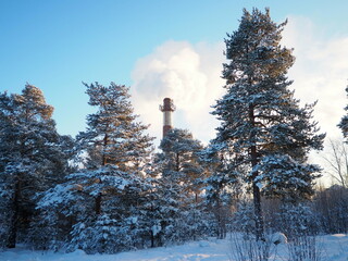 Smoke from a factory chimney. Ecological pollution. Air emissions polluting forest. Industrial...