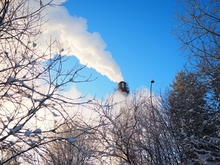 Smoke from a factory chimney. Ecological pollution. Air emissions polluting forest. Industrial...
