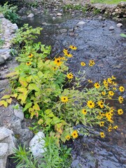 Yellow Joyful Friends