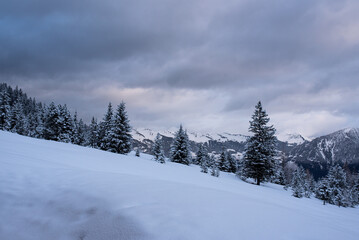 Fototapeta na wymiar Landschaft | Winter