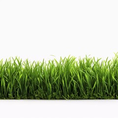 Beautiful fresh green grass background border isolated on white background, AI generator