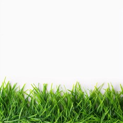Beautiful fresh green grass background border isolated on white background, AI generator