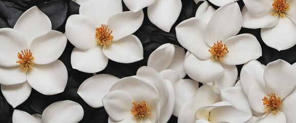 Elegant magnolia blossom on dark stone background banner panorama