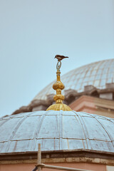 Fototapeta na wymiar beautiful islam mosque in turkey