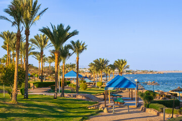 Fototapeta na wymiar Beautiful view of Red Sea Sharm El sheik Egypt. View of the beach and palm tress on a sunny day.