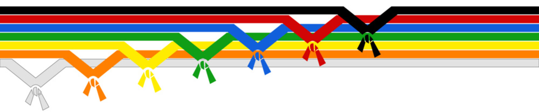 Karate judo taekwondo martial arts belts process