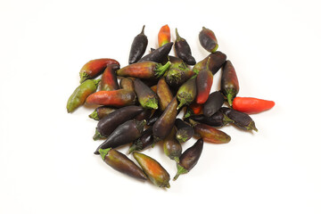 白背景の紫唐辛子