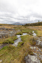 landscape with river