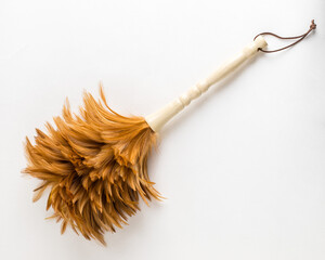 Brush for removing dust from bird feathers. Sweep, broom. Pipidastr - 703000606