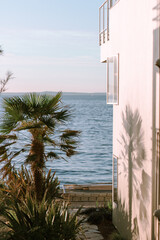 ocean front house with palm tree