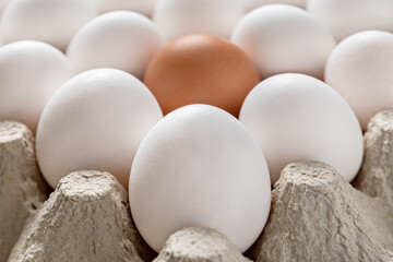 Carton of fresh brown and white eggs