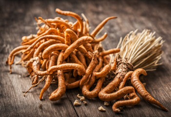 Cordyceps, a beneficial natural supplement - obrazy, fototapety, plakaty