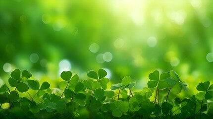 a leave of lucky clover against bokeh background with copy space - obrazy, fototapety, plakaty