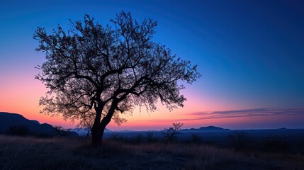 Fototapeta na wymiar A beautiful view of the sunrise during the blue hour, with the silhouettes of trees against a sky blushing in shades of blue and violet