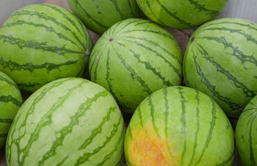 watermelon isolated on white background