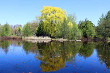Obraz premium Spring landscape Montreal Quebec province Canada